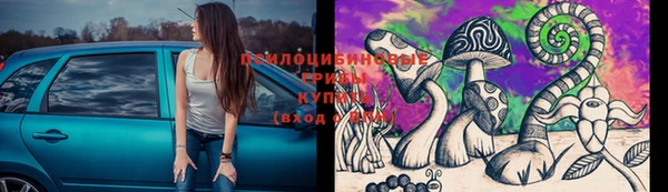 прущие грибы Осташков