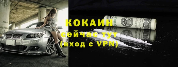 хмурый Арсеньев