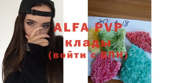 прущие грибы Осташков