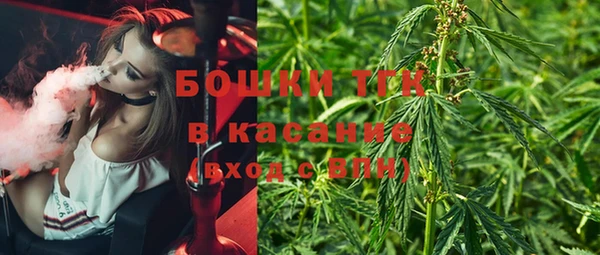 гашик Аркадак