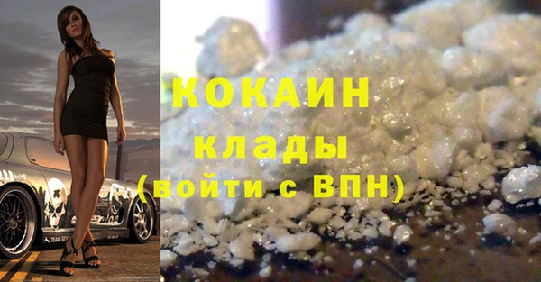 гашик Аркадак