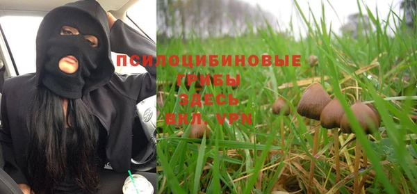 гашик Аркадак