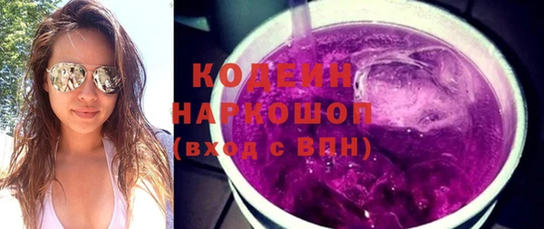 хмурый Арсеньев