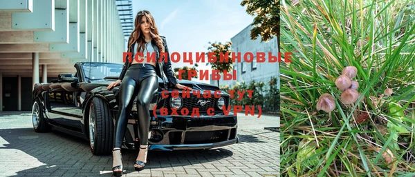 гашик Аркадак
