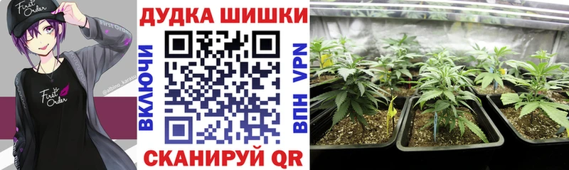 Бошки Шишки гибрид  где можно купить наркотик  Байкальск 